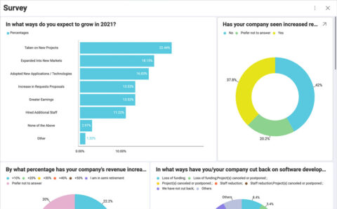 Dashboard showing 2020 trends in software development and analytics.