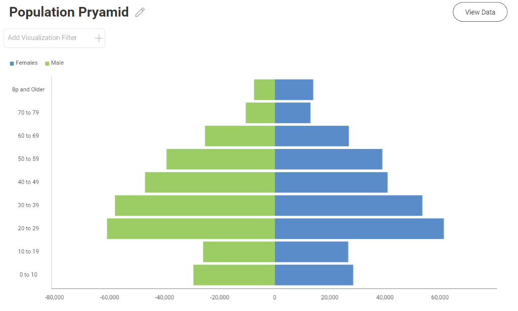 population pyramid chart completed