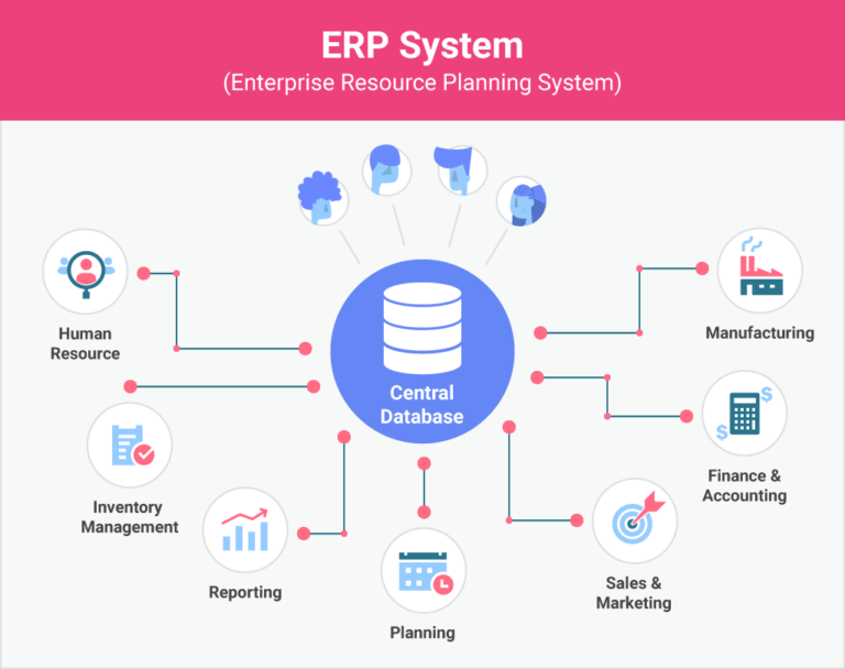 erp embedded analytics application