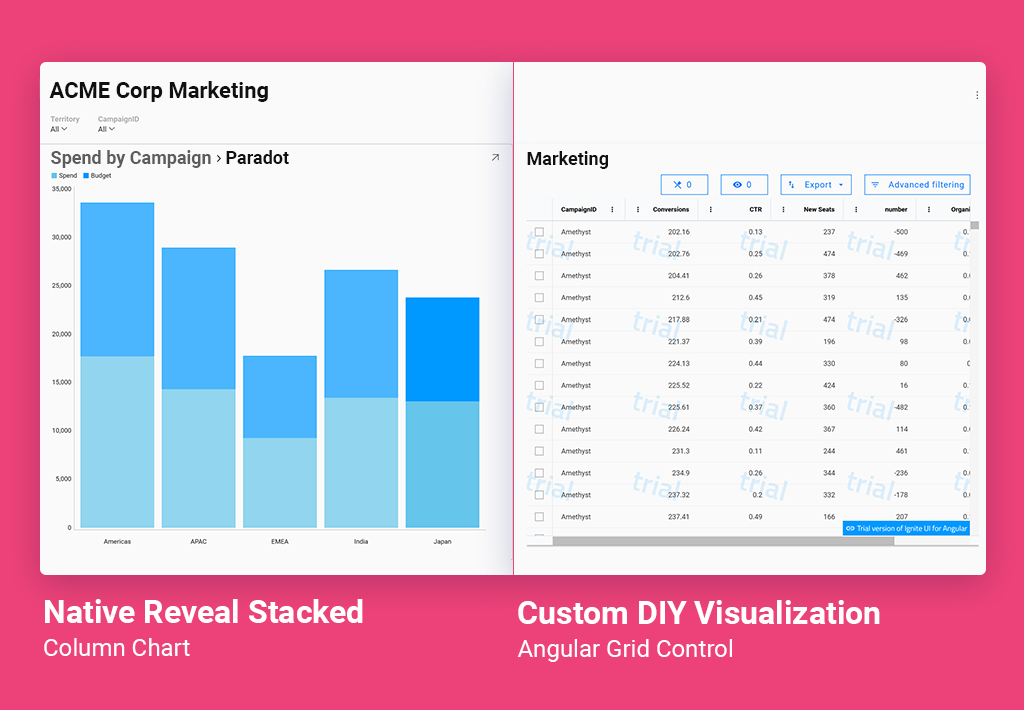 reveal custom visualizations 